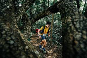 BIB: 
                            <button type="button" onclick="openModal(25392388)" class="btn btn-primary btn-sm float-right btn-popup" data-toggle="modal" data-target=".modal-high-quality">
                        <i class="fas fa-shopping-cart"></i> Add to Cart
                    </button>
                                            <button type="button" onclick="isThisMe(25392388, true)" class="btn btn-success btn-sm float-right btn-popup btn-isme hidden" data-toggle="tooltip" data-placement="bottom" title="นี่คือรูปของคุณใช่ไหม คลิกที่นี่เพื่อเอาเข้าอัลบั้ม">
                        <i class="fas fa-plus"></i> Add to album
                    </button>
                    <button type="button" onclick="isThisMe(25392388, false)" class="btn btn-warning btn-sm float-right btn-popup btn-isnotme hidden">
                        <i class="fas fa-ban"></i> Remove from album
                    </button>